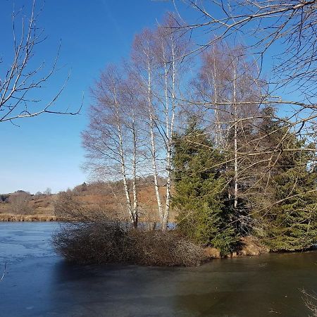 Fermette Typique Auvergnate Dans Son Ecrin D'Eau Et De Verdure Saint-Donat Εξωτερικό φωτογραφία