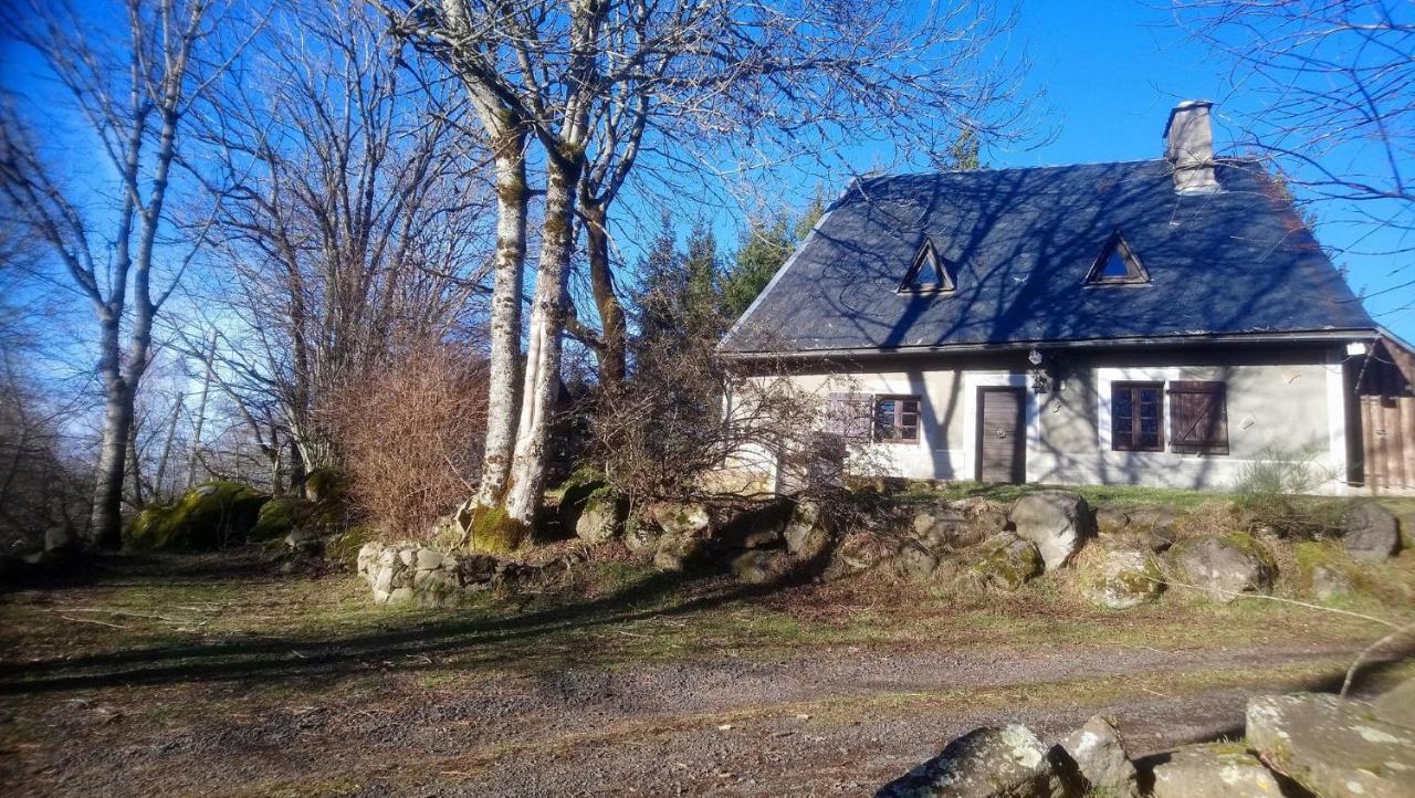Fermette Typique Auvergnate Dans Son Ecrin D'Eau Et De Verdure Saint-Donat Εξωτερικό φωτογραφία