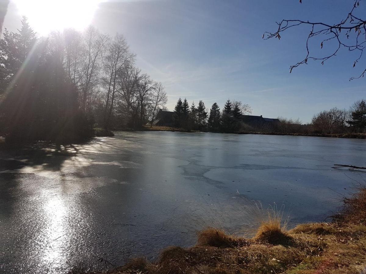 Fermette Typique Auvergnate Dans Son Ecrin D'Eau Et De Verdure Saint-Donat Εξωτερικό φωτογραφία